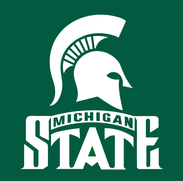 Michigan State Spartans 1987-Pres Alternate Logo t shirts DIY iron ons v2